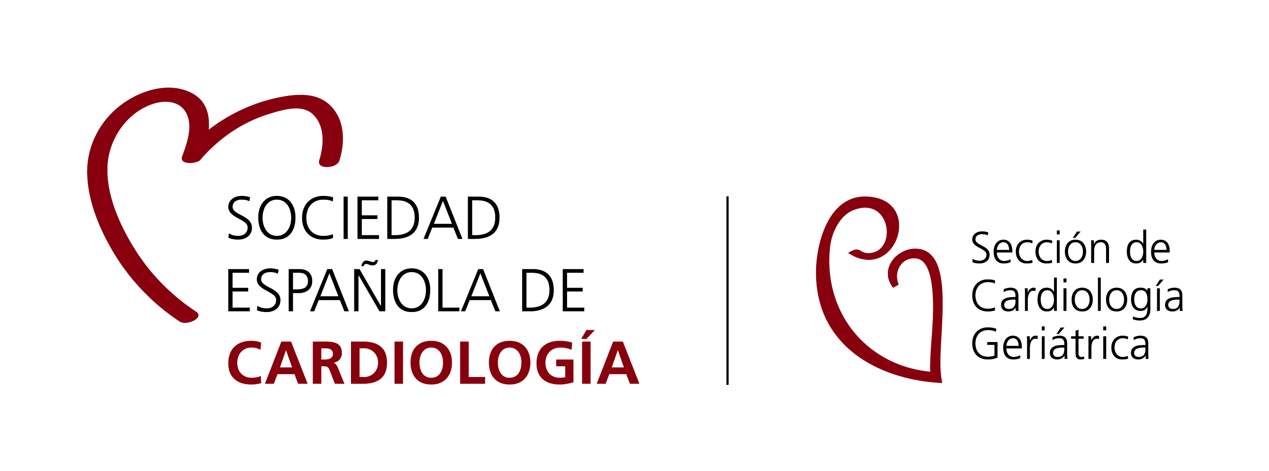Sociedad Española de Cardiología. Sección de Cardiología Geriátrica